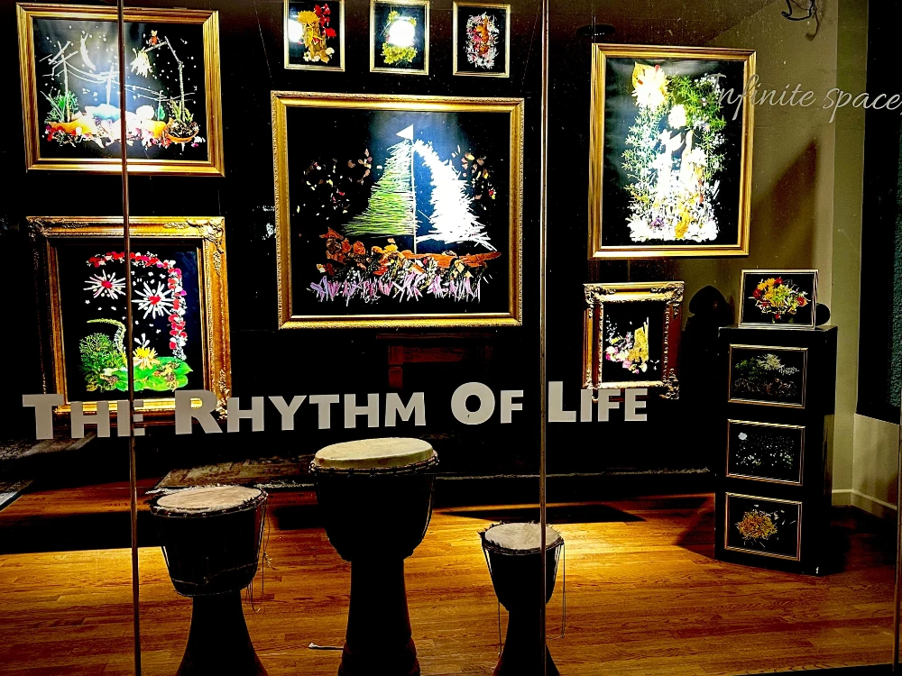 New Window Display Entitled “The Rhythm of Life”